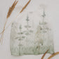 Set of TYLA pants & Tank top with Green Ombre Forest print